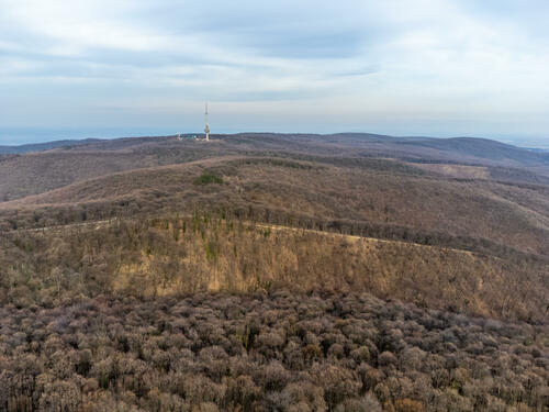 Old TV tower on Fruska Gora